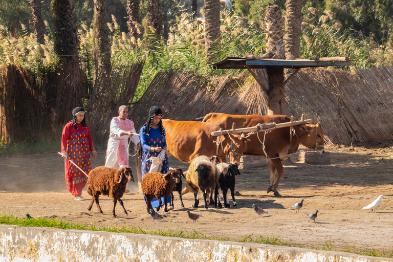 El Cairo: Tour Privado de la Aldea Faraónica con Traslado y AlmuerzoVisita con tickets de entrada y comida