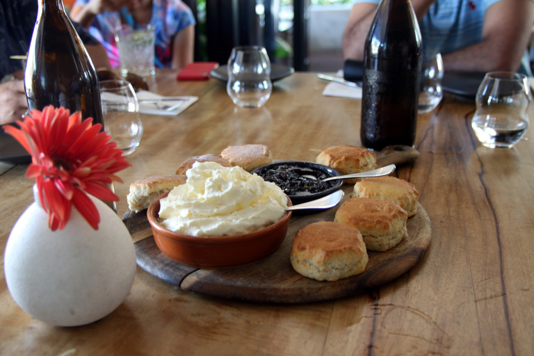 Cairns: Aquariumbezoek en stadstour met lunch