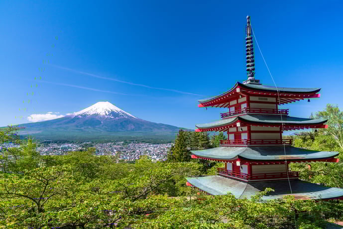 Токио: тур на целый день с Mt. Виды Фудзи и сбор фруктов