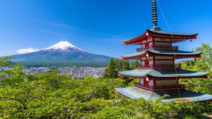 tokyo fullday tour with mt. fuji views and fruit picking