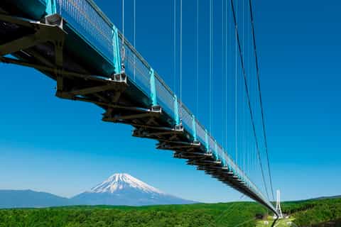 monte fuji mishima skywalk e hakone con pranzo a buffet