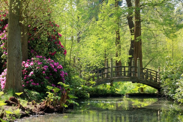 Visit Birmingham Winterbourne House and Garden Admission Ticket in Monkspath, West Midlands, England