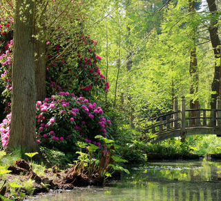 Casa y jardín de Winterbourne: Visitas guiadas