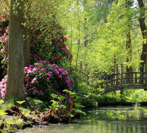Natur und Abenteuer
