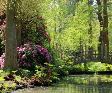 Winterbourne House and Garden Admission Ticket
