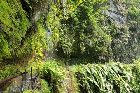 Madeira: Paseo Privado Guiado por la Levada do Rei PR18Recorrido con Recogida por el Suroeste de Madeira
