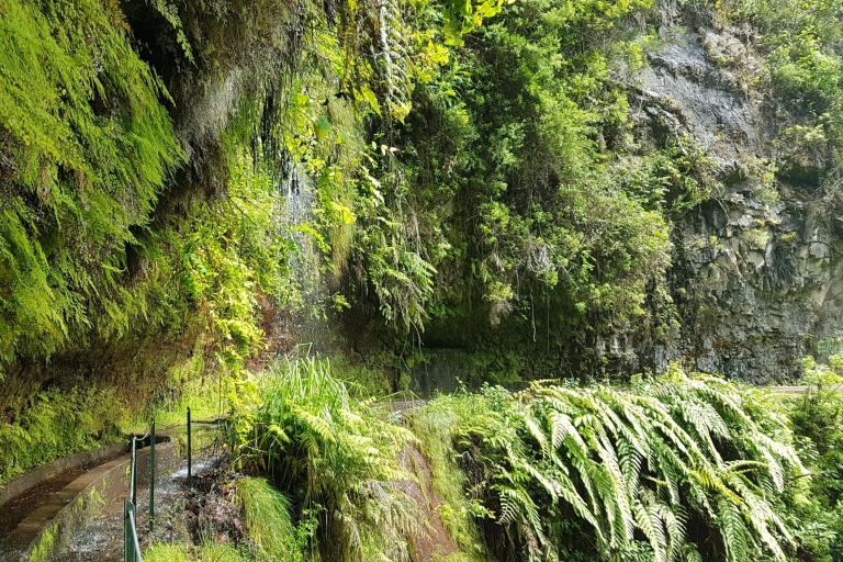 Madeira: Private geführte Wanderung Levada do Rei PR18Tour mit Abholung im Nordwesten von Madeira