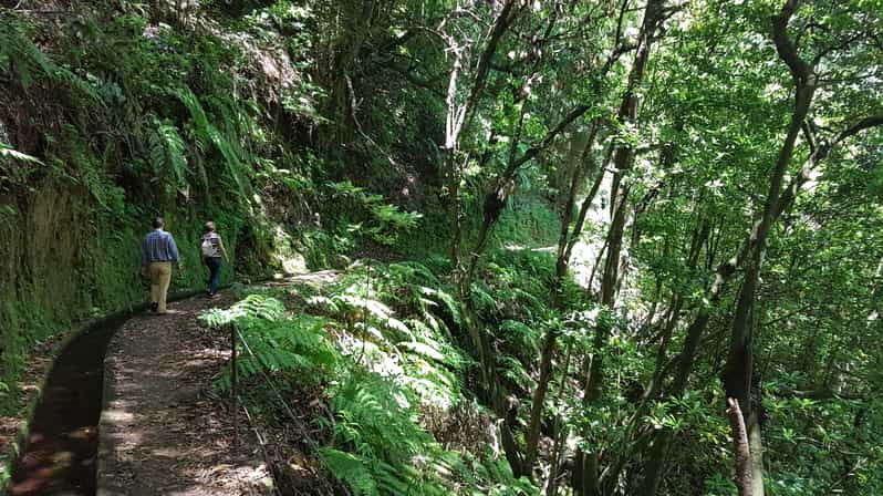 Madeira Private Guided Levada Do Rei Walk Pr Getyourguide