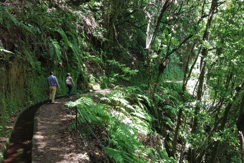 Madeira: Private geführte Wanderung Levada do Rei PR18Tour mit Abholung im Südwesten von Madeira