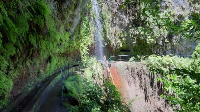 madeira private levada do rei walk and laurissilva forest