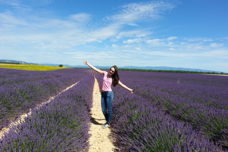 Lavendelfelder in der Provence: Private Tour