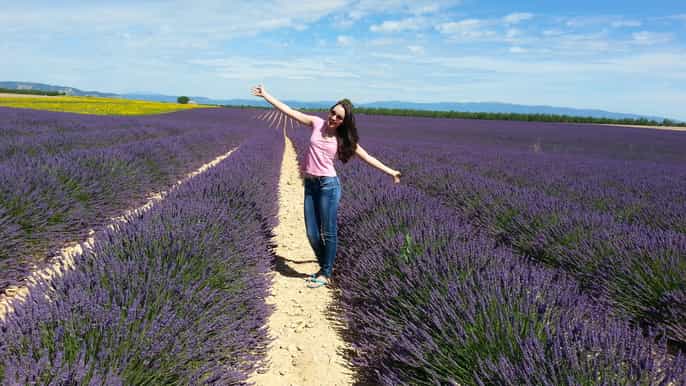 private lavender of provence tour