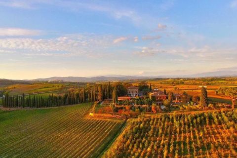 Arezzo: esperienza di degustazione di vini della Val di Chiana