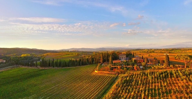 Visit Arezzo Val di Chiana Wine Tasting Experience in Il Borro