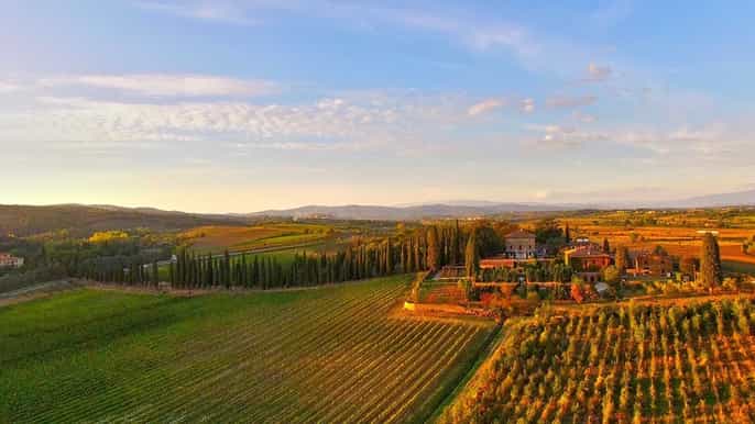 arezzo val di chiana opplevelse av vinsmaking