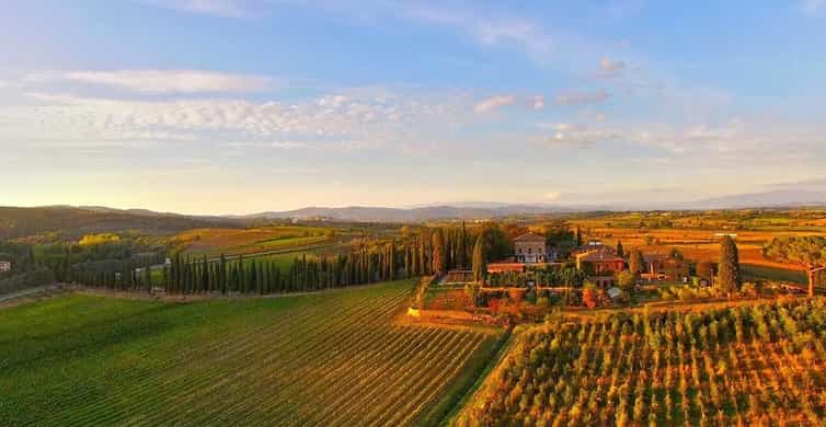 Arezzo Val di Chiana Wine Tasting Experience GetYourGuide