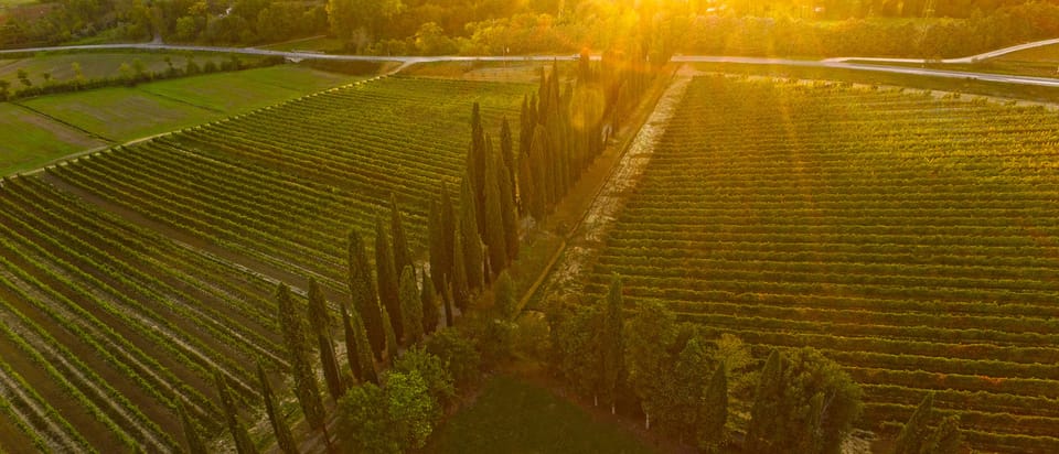 Arezzo Val di Chiana Wine Tasting Experience GetYourGuide