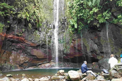 Madeira: Private Walking Tour of Levada das 25 Fontes PR6 Tour with North West Madeira Pickup