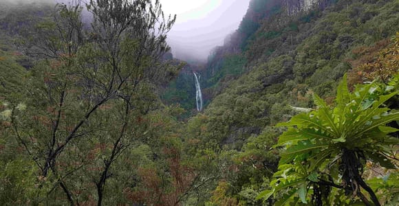 Madeira: Private Walking Tour of Levada das 25 Fontes PR6