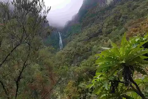 Madeira: Tour privato a piedi di Levada das 25 Fontes PR6