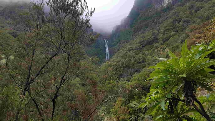 madeira private walking tour of levada das 25 fontes