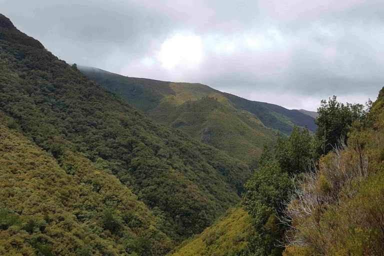 Madeira: privéwandeling door Levada das 25 Fontes PR6Excursie met ophaalservice in Noordwest-Madeira