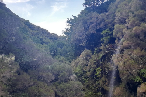 Madeira: Private Walking Tour of Levada das 25 Fontes PR6 Tour with North West Madeira Pickup