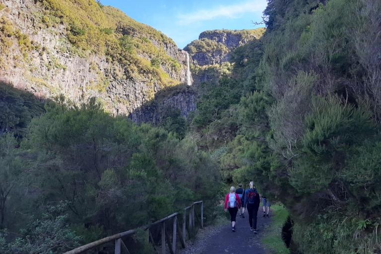Madera: Prywatna wycieczka piesza po Levadzie das 25 Fontes PR6Wycieczka z odbiorem z północno-zachodniej Madery