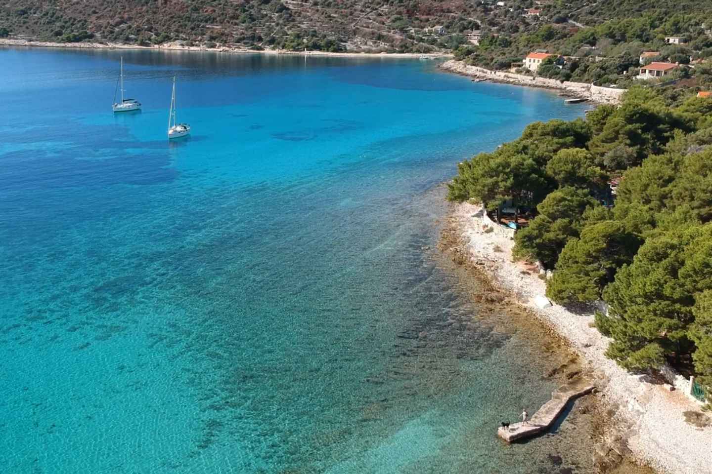 探索三岛:托罗吉尔出发半日快艇游