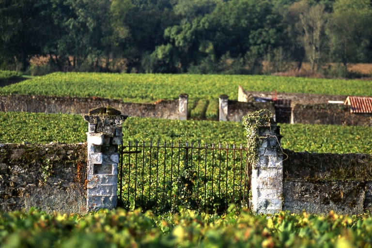 Exklusive Weintagesausflug Loire-Tal von Paris