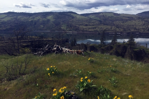 Von Portland: Columbia Gorge Hike und Weingut Mittagessen