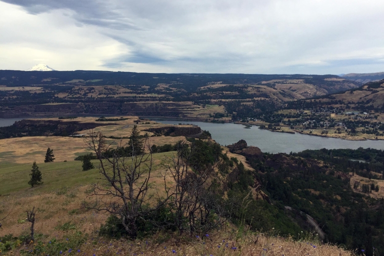 Van Portland: Columbia Gorge Hike and Winery Lunch