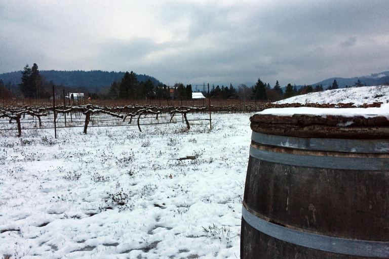 Van Portland: Columbia Gorge Hike and Winery Lunch