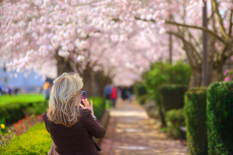 Portland: Best of the City Sights Small-Group Morning Tour Small Group Portland Tour