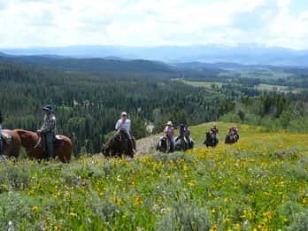 Bridger-Teton Forest: Halbtagesausritt Bridger-Teton Forest: Halbtagesausritt