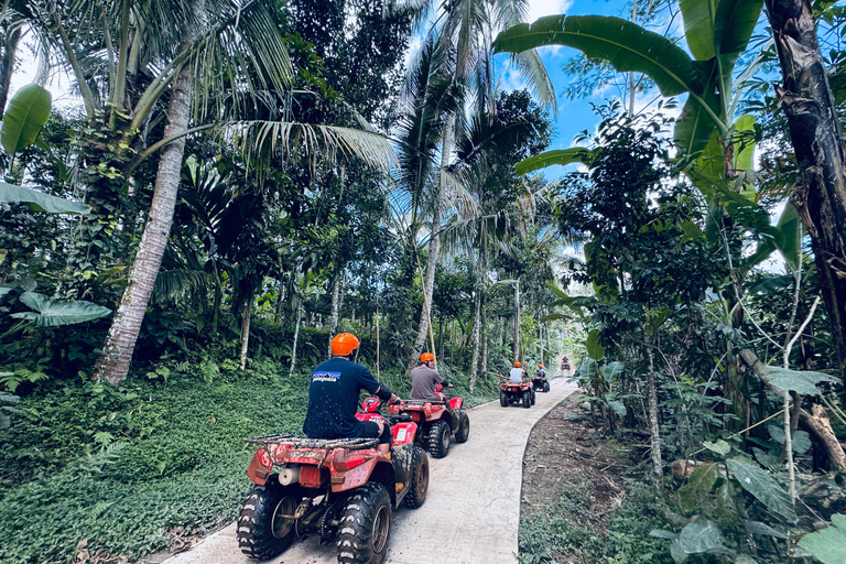 Ubud: Gorilla Face Quad Bike, Jungle Swing, Waterfall &amp; MealTandem Ride with Bali Transfers