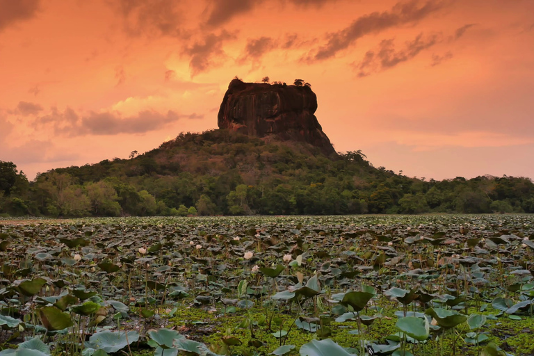 Sigiriya: Dambulla Tempel &amp; Dorpentour vanuit Trincomalee