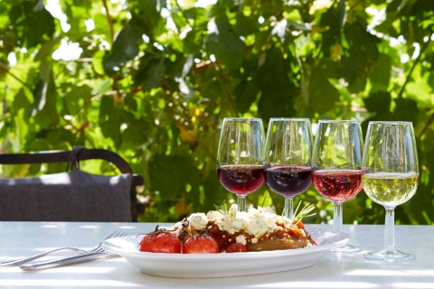 Santorini: semi-privérondleiding van 4,5 uur door de wijnstokkenRondleiding in de middag