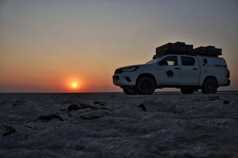 From Kasane: Sleeping Under the Stars at Makgadikgadi Pan