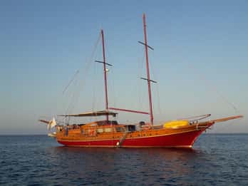 Zypern: Private Yacht-Tagestour für bis zu 40 Personen