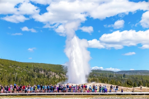 Od Jackson: Yellowstone Day Tour, w tym opłata za wstęp