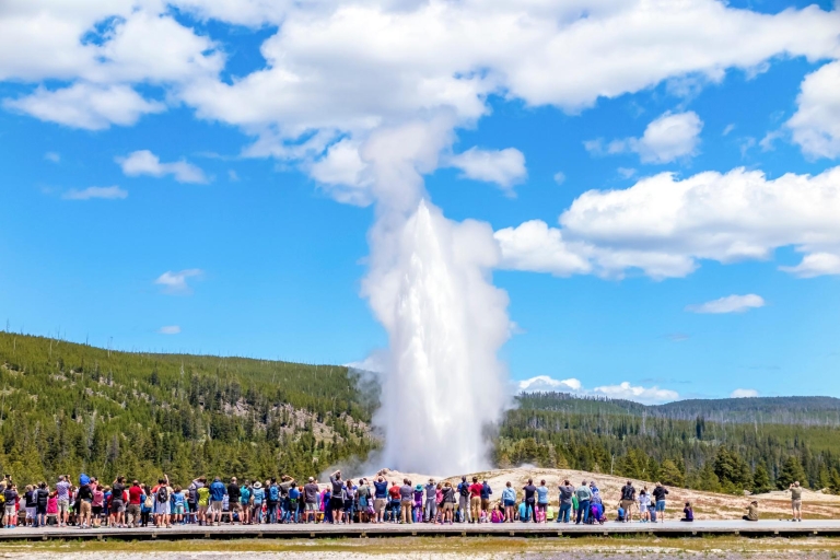 Od Jackson: Yellowstone Day Tour, w tym opłata za wstęp