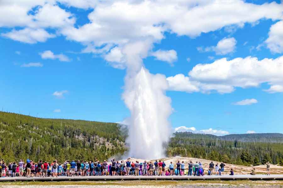 Von Jackson: Yellowstone-Tagestour inklusive Eintrittsgebühr. Foto: GetYourGuide