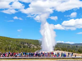 Ab Jackson: Yellowstone Day Tour inklusive Eintrittsgebühr Ab Jackson: Yellowstone Day Tour inklusive Eintrittsgebühr