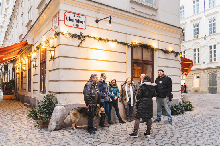 Vienne: promenade éducative explorant le sans-abrismeTour au Deutsch ab Bäckerstraße