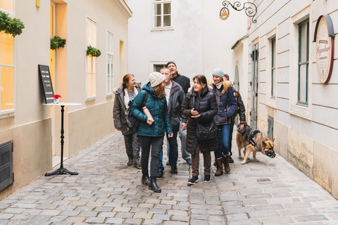 Vienne: promenade éducative explorant le sans-abrismeTour au Deutsch ab Bäckerstraße