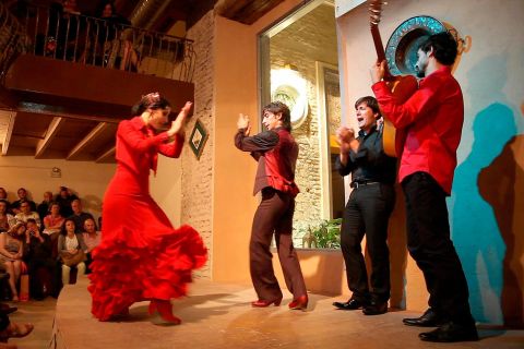 Sevilla: flamencoshow Casa de la Memoria