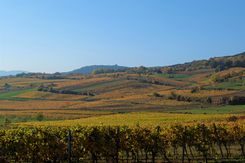 Wenen: Vienna Woods Wine Tour van een hele dagPrivé zomertour