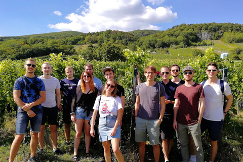 Vienna: Tour di un giorno intero con degustazione di vini dei boschi di Vienna