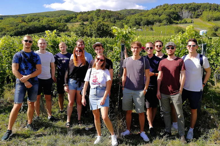 Wenen: Vienna Woods Wine Tour van een hele dagPrivé zomertour